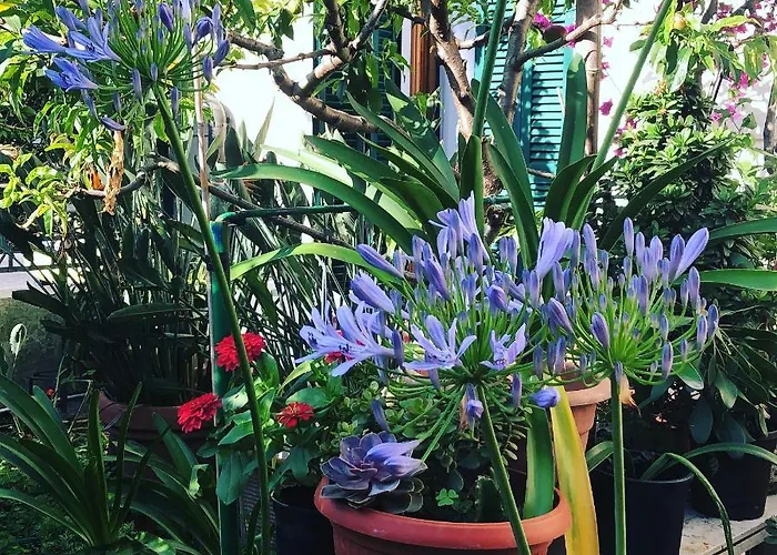 Casa Fornaciari Frühstückspension 3*