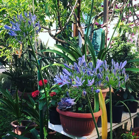 Casa Fornaciari Bed & Breakfast 3*